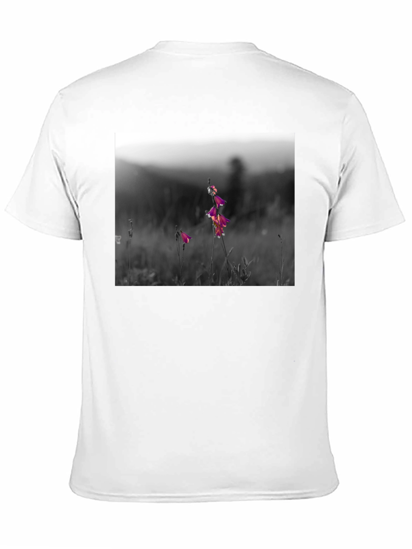 Floral Meadow Graphic Tee - Black Cotton Blend