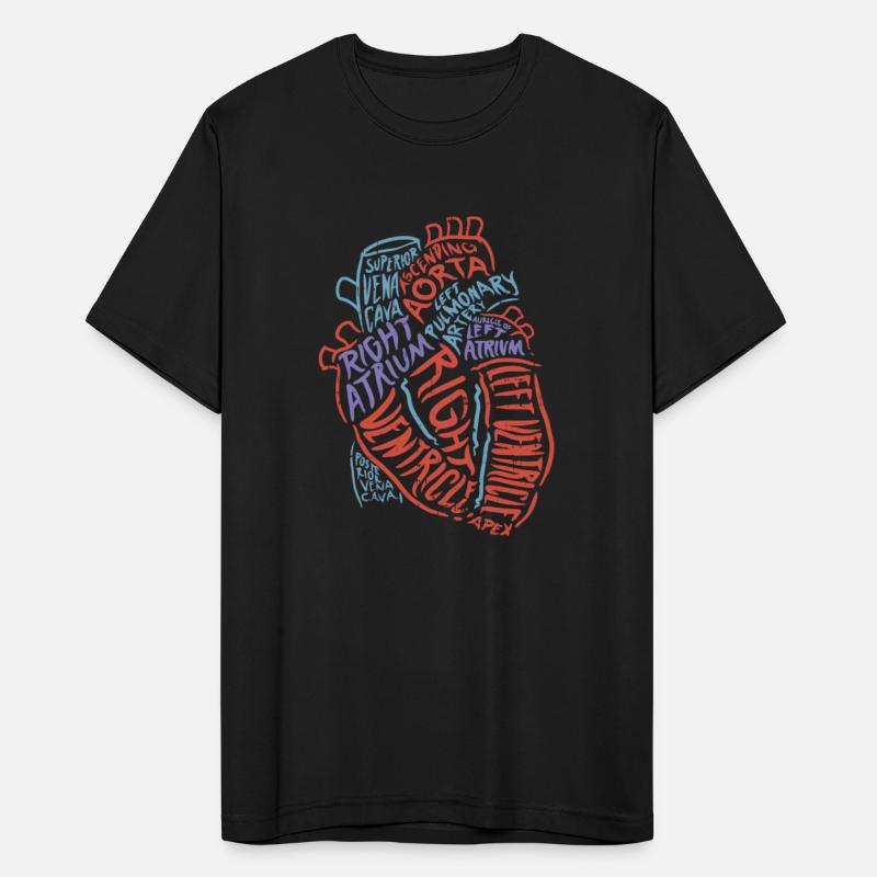 Heart Anatomy Doctor Medical Cardiovascular Biolog