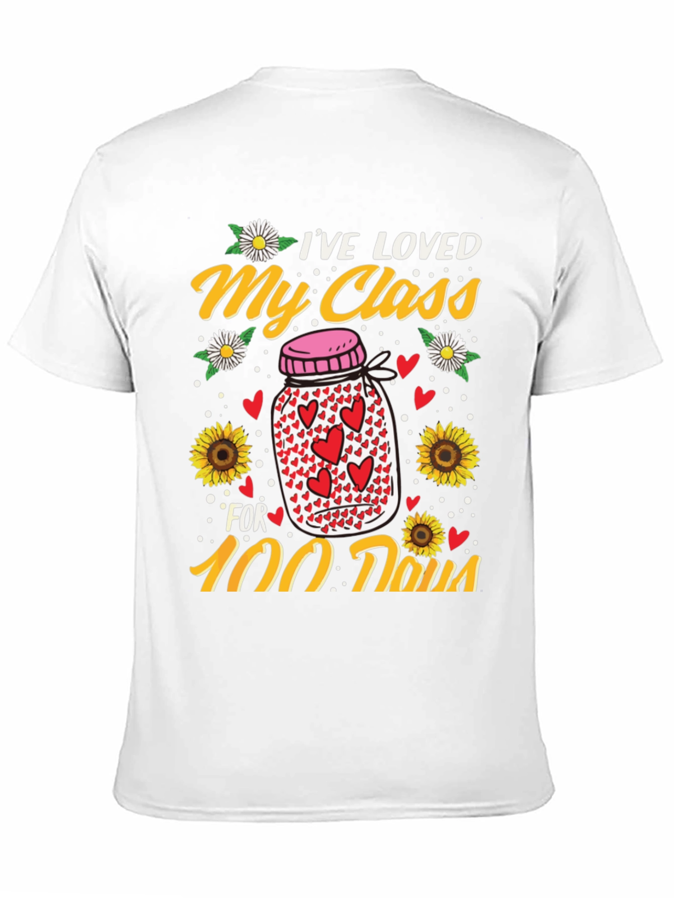 Ive Loved My Class for 100 Days T-Shirt