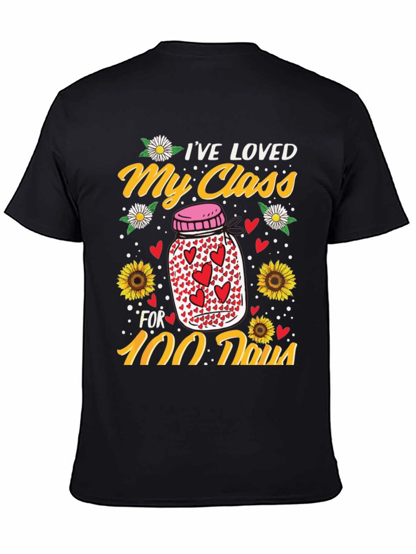 Ive Loved My Class for 100 Days T-Shirt