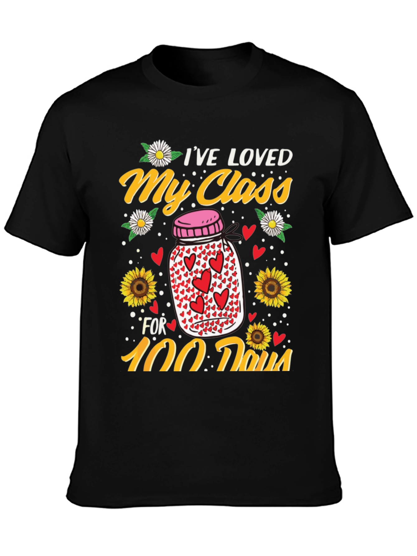 Ive Loved My Class for 100 Days T-Shirt