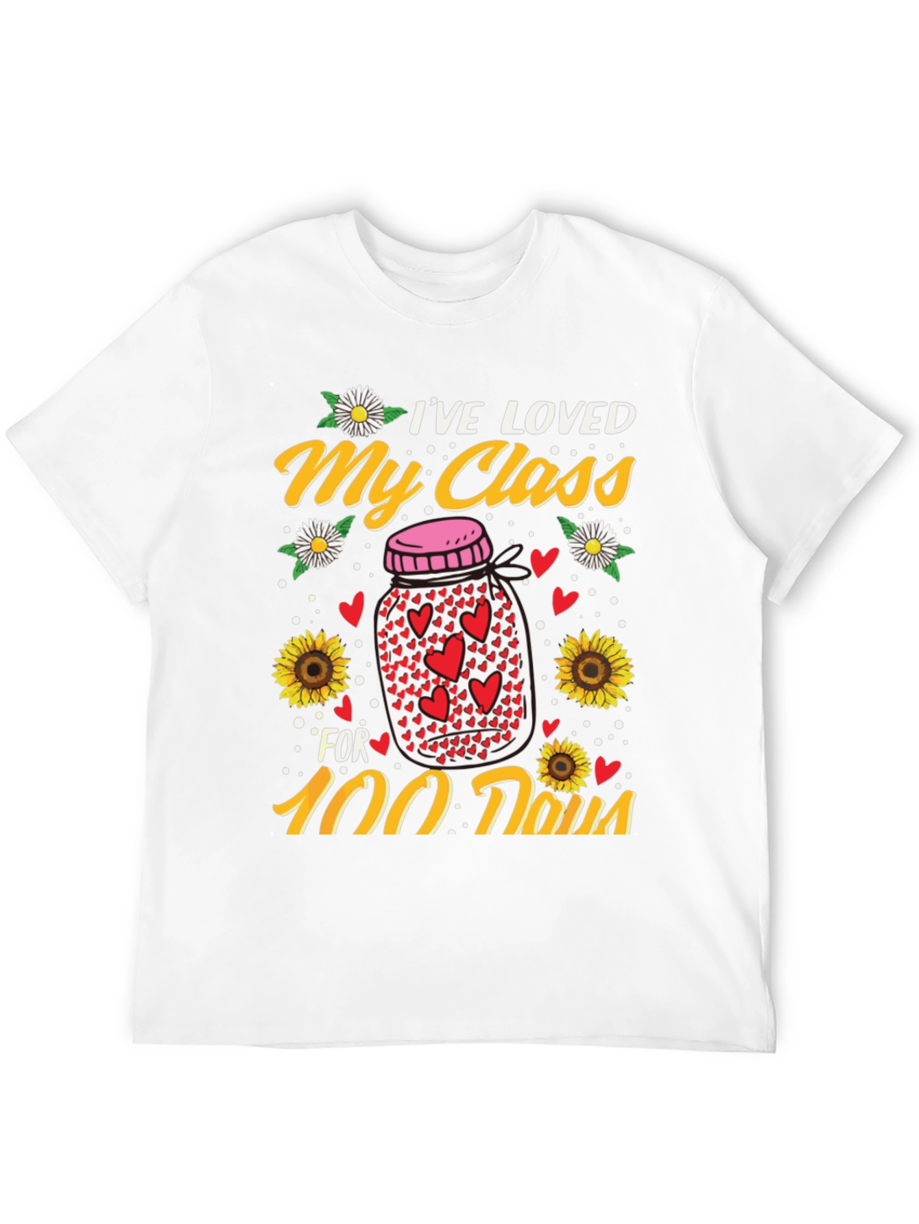 Ive Loved My Class for 100 Days T-Shirt