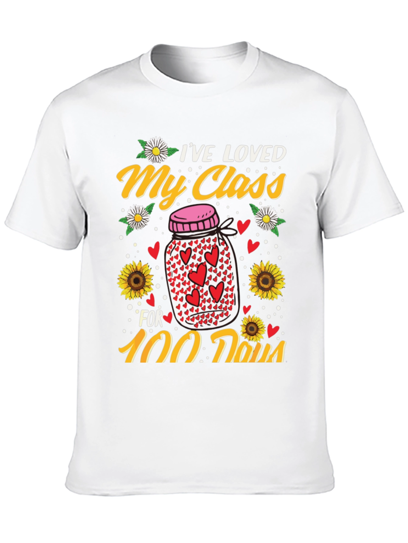 Ive Loved My Class for 100 Days T-Shirt