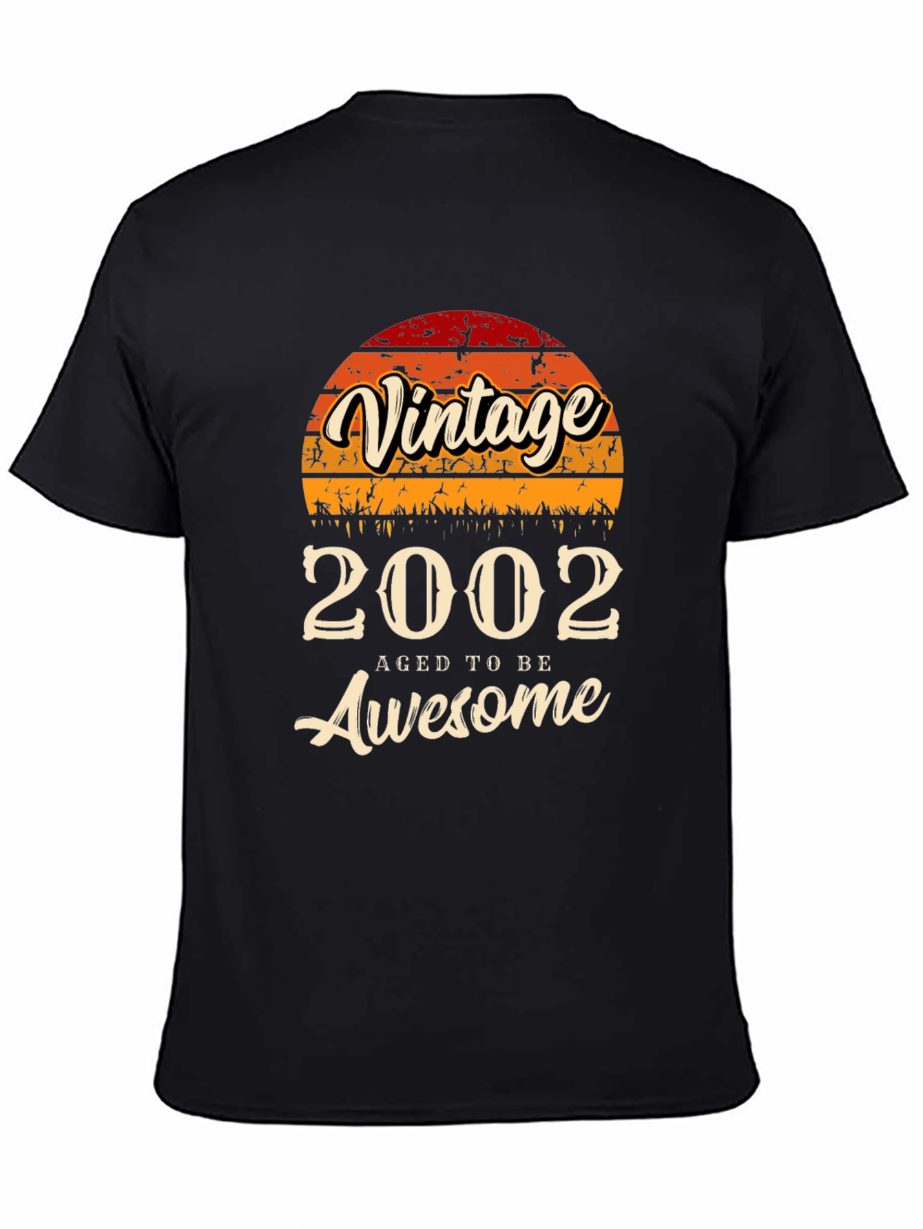 Vintage 2002 Aged To Be Awesome T-Shirt