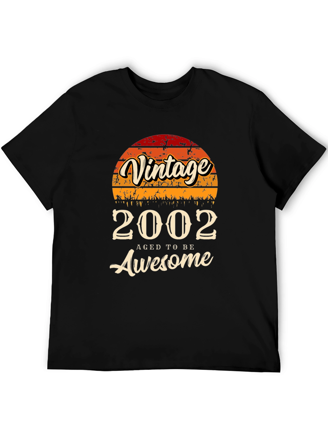 Vintage 2002 Aged To Be Awesome T-Shirt
