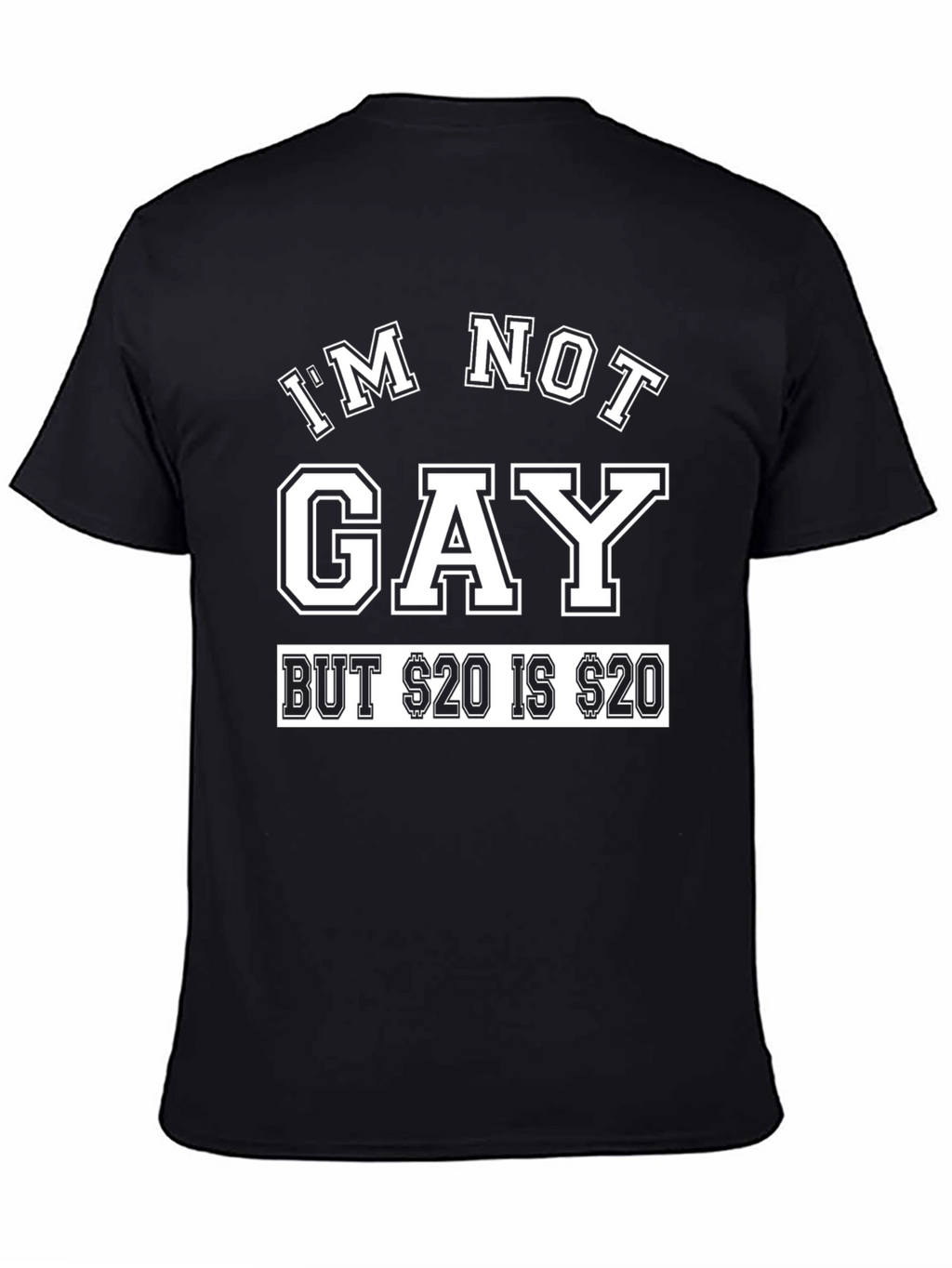 Im Not Gay Funny Graphic T-Shirt