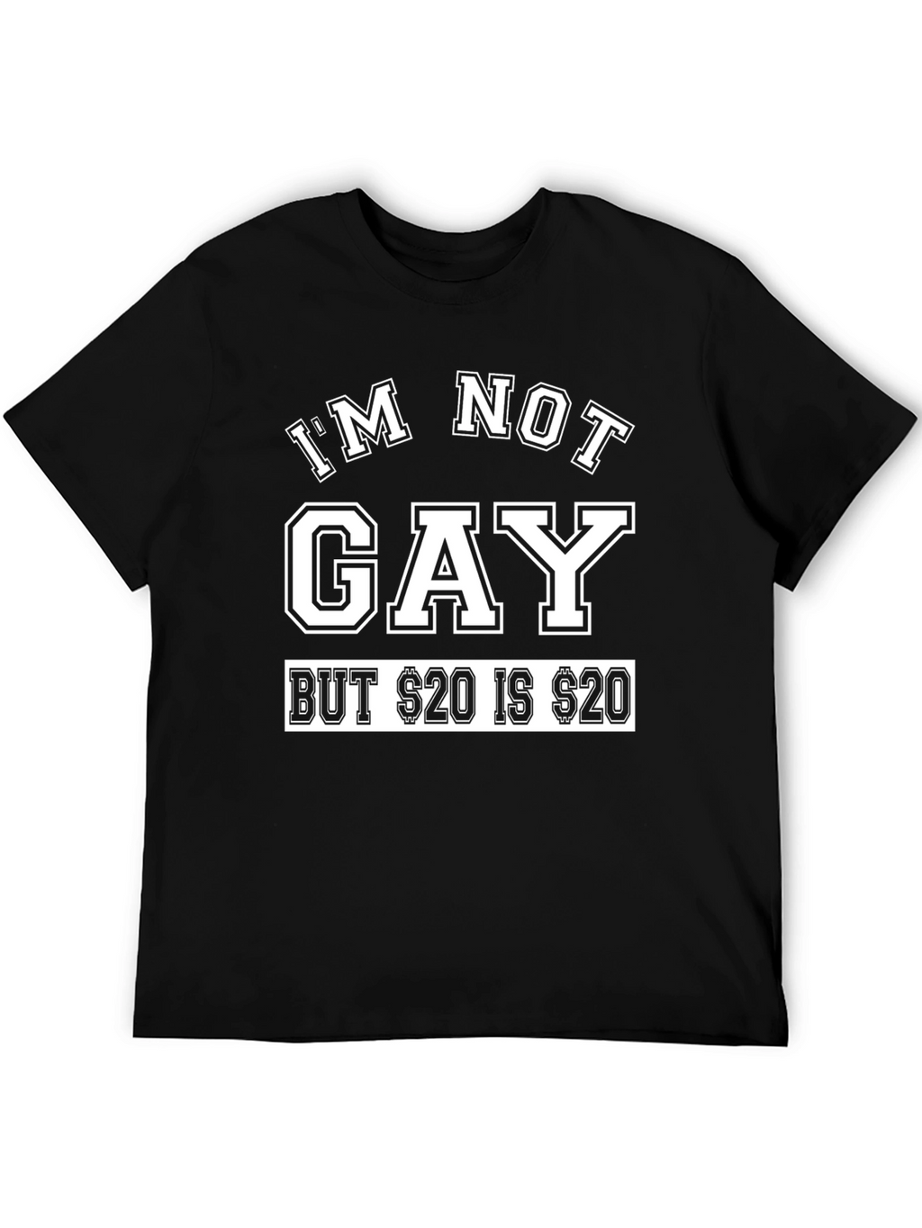 Im Not Gay Funny Graphic T-Shirt