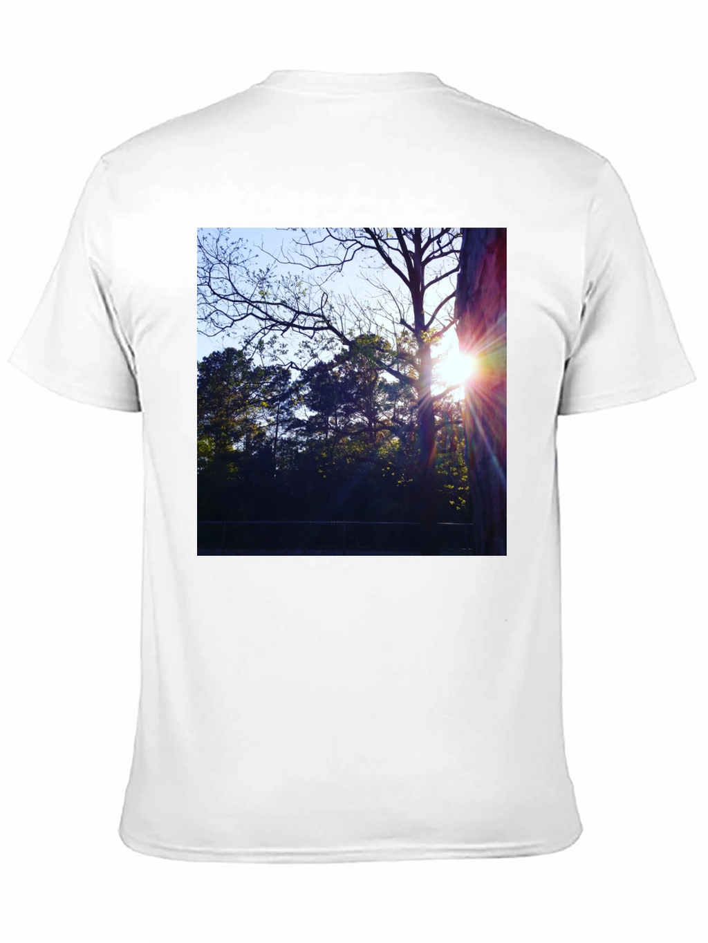 Natures Light T-Shirt - Black Cotton Tee