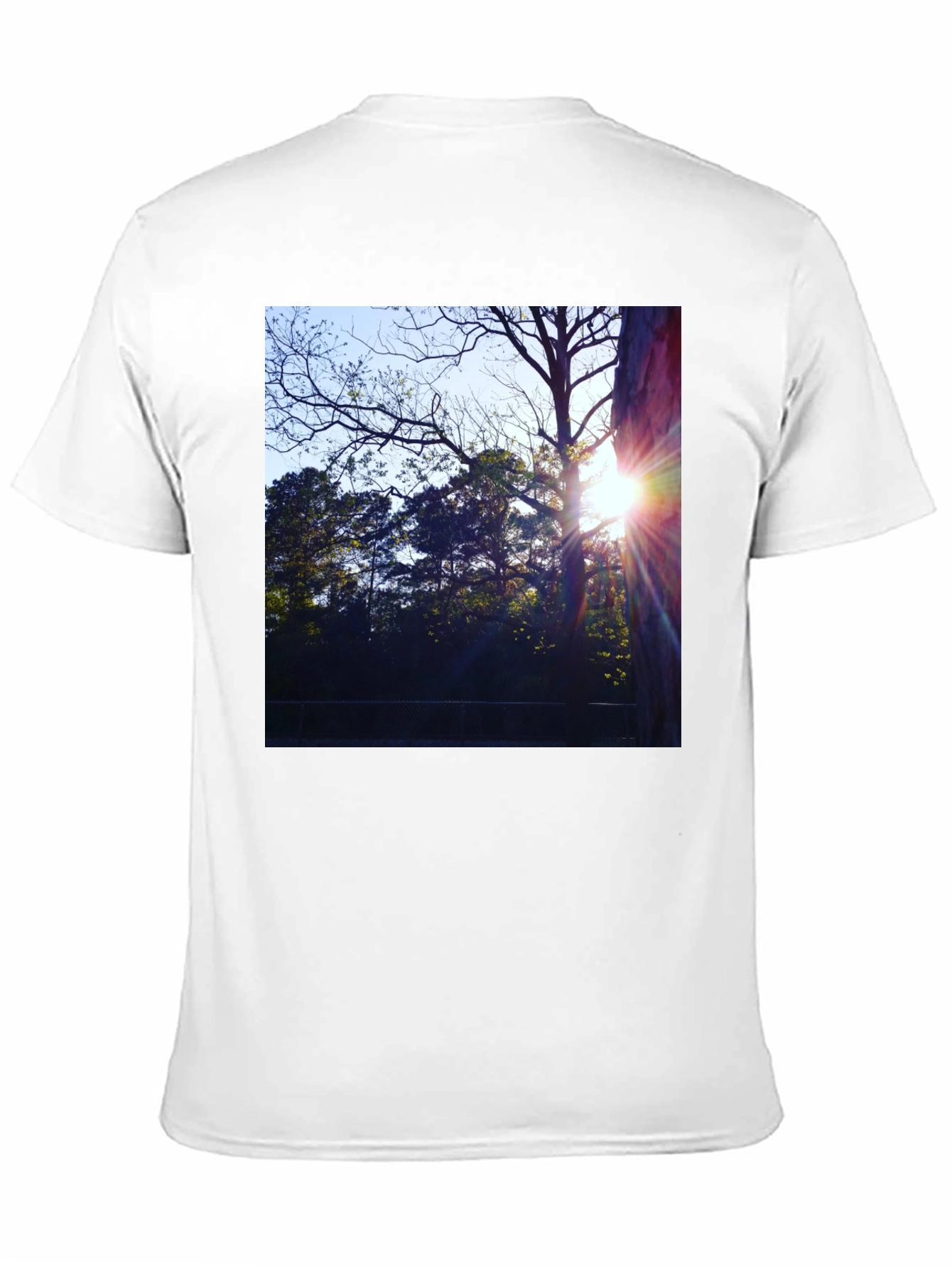 Natures Light T-Shirt - Black Cotton Tee