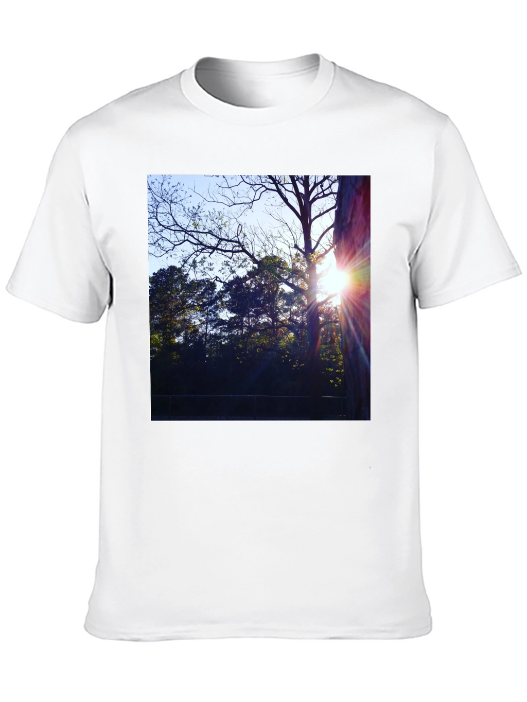 Natures Light T-Shirt - Black Cotton Tee