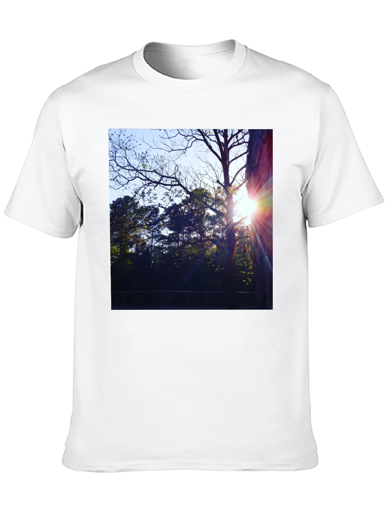 Natures Light T-Shirt - Black Cotton Tee