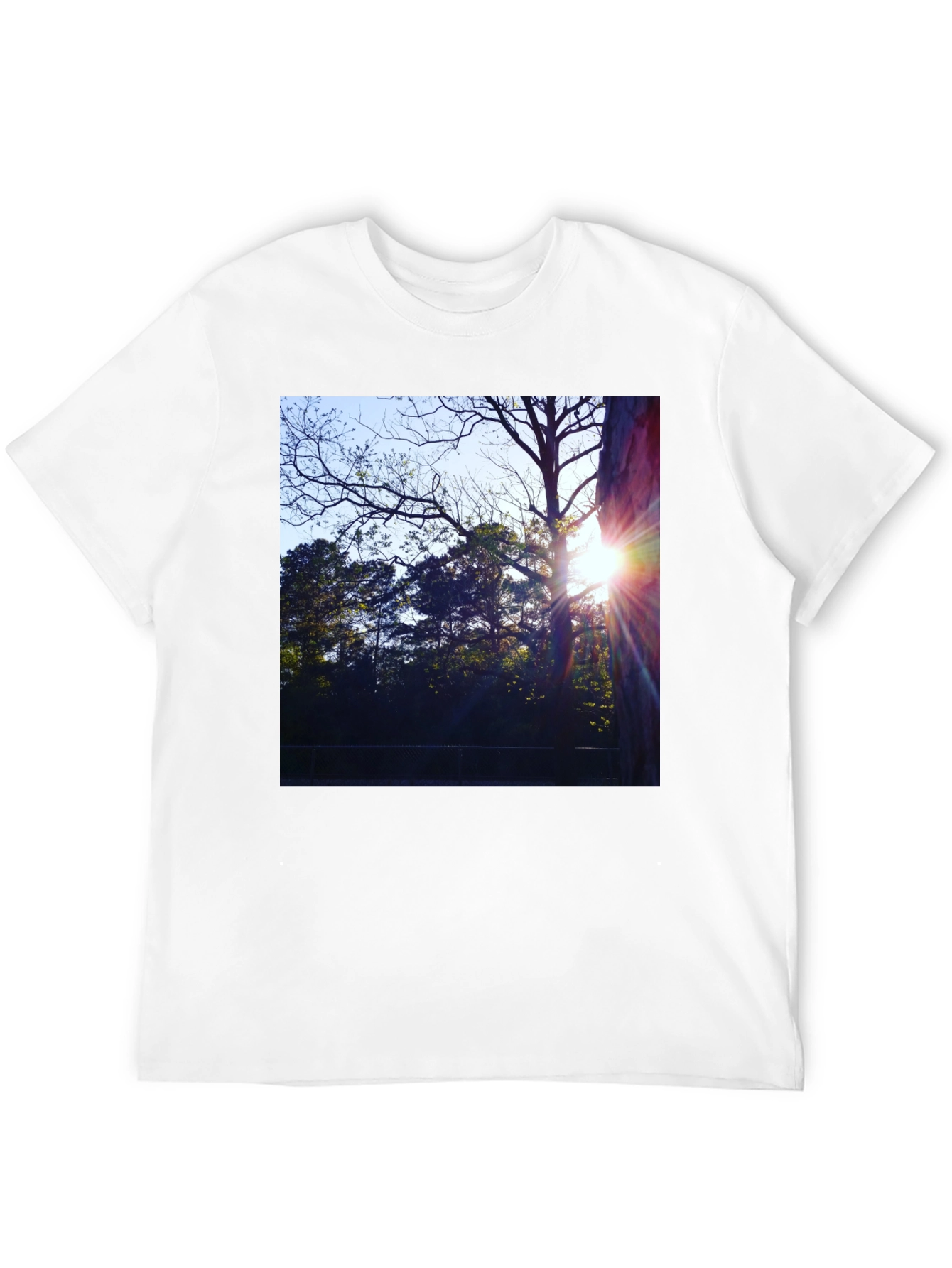 Natures Light T-Shirt - Black Cotton Tee