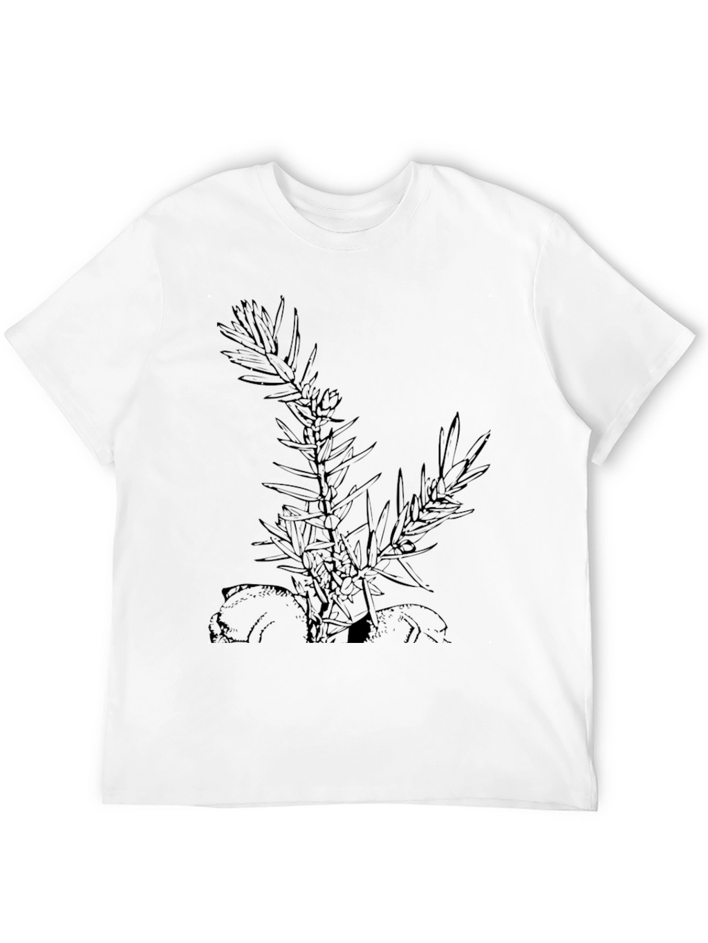 Botanical Graphic Black T-Shirt