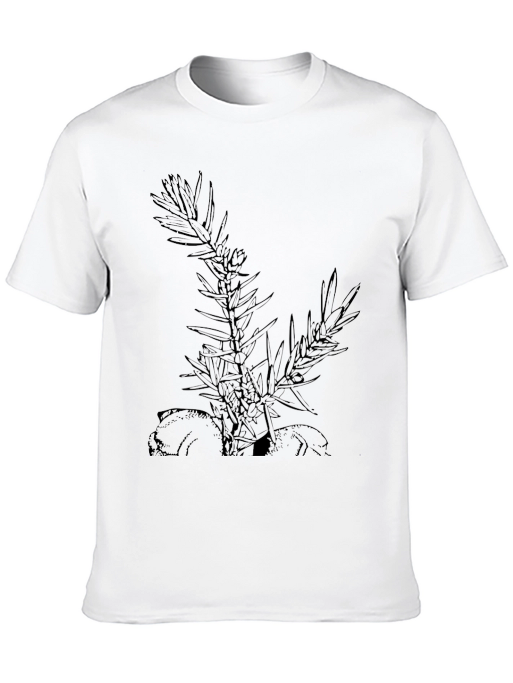 Botanical Graphic Black T-Shirt