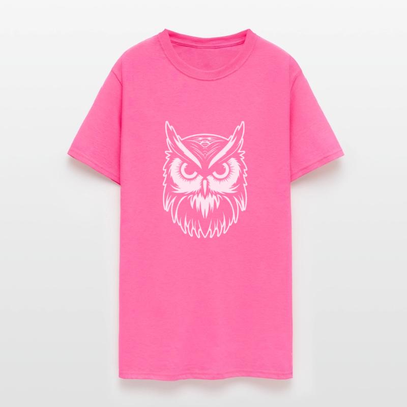 Owl Bird Birds