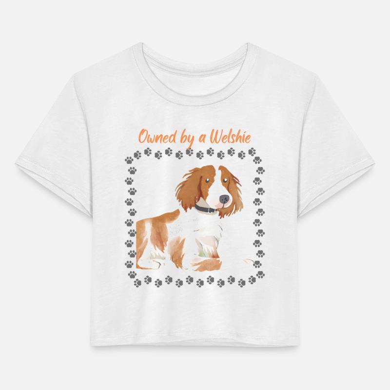 Owned by a Welsh Springer Spaniel