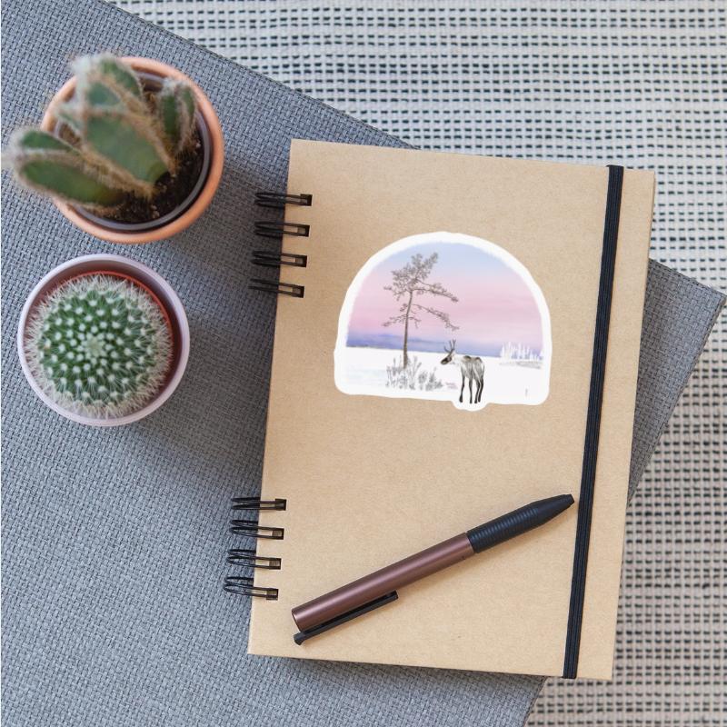 Polarlight - polar night