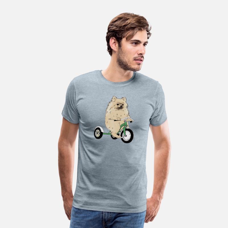 Pomeranian Dog On A Tricycle Dog