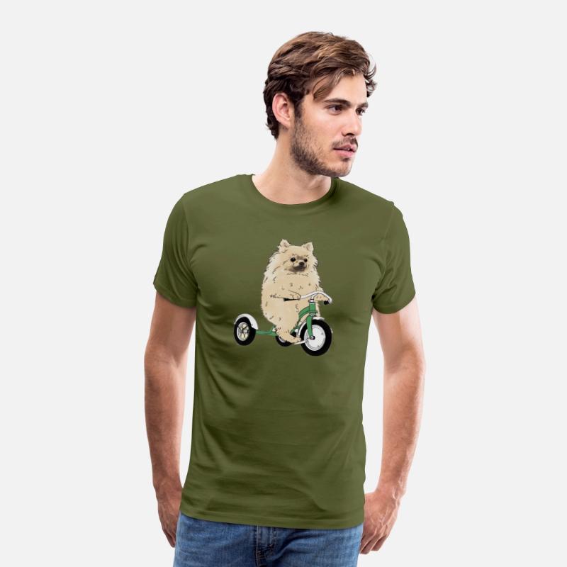 Pomeranian Dog On A Tricycle Dog
