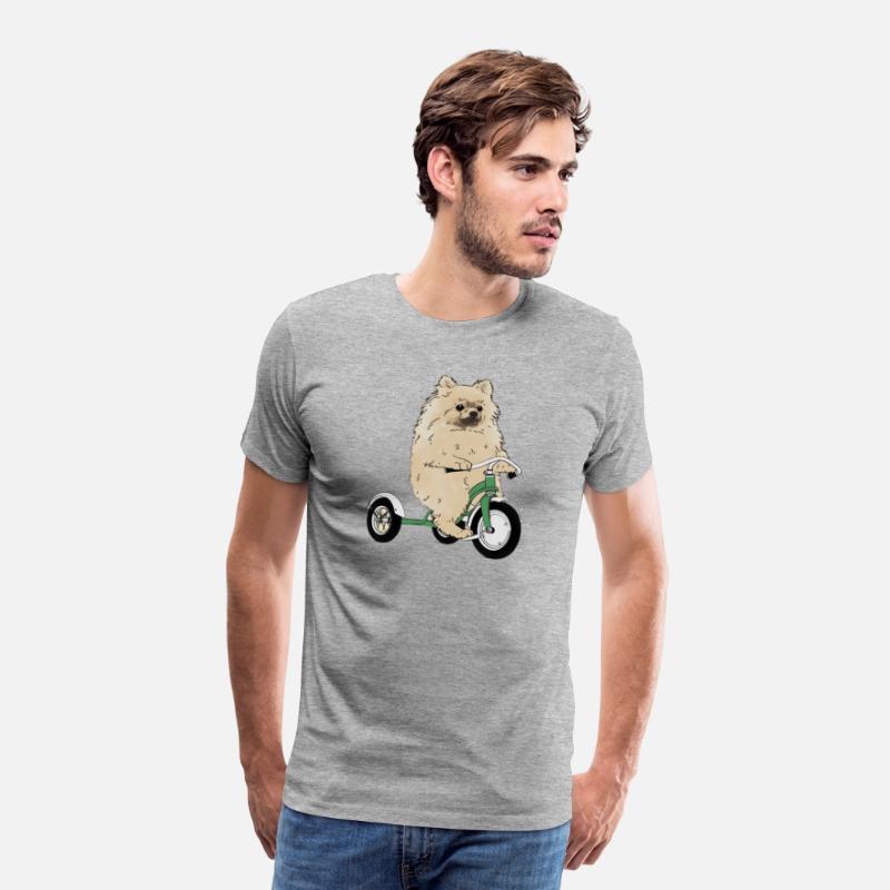 Pomeranian Dog On A Tricycle Dog