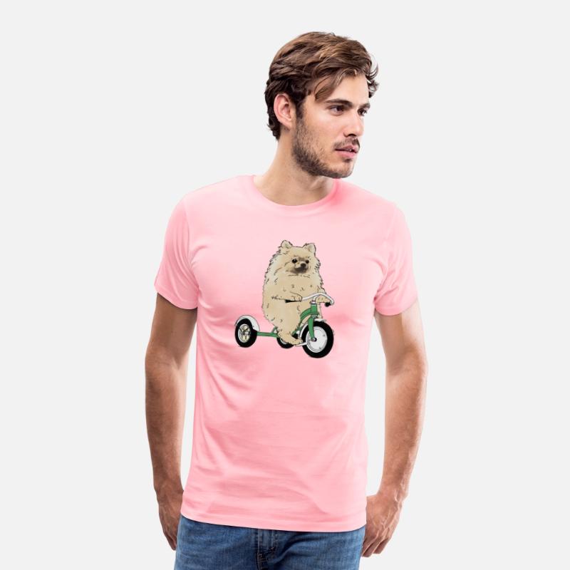 Pomeranian Dog On A Tricycle Dog
