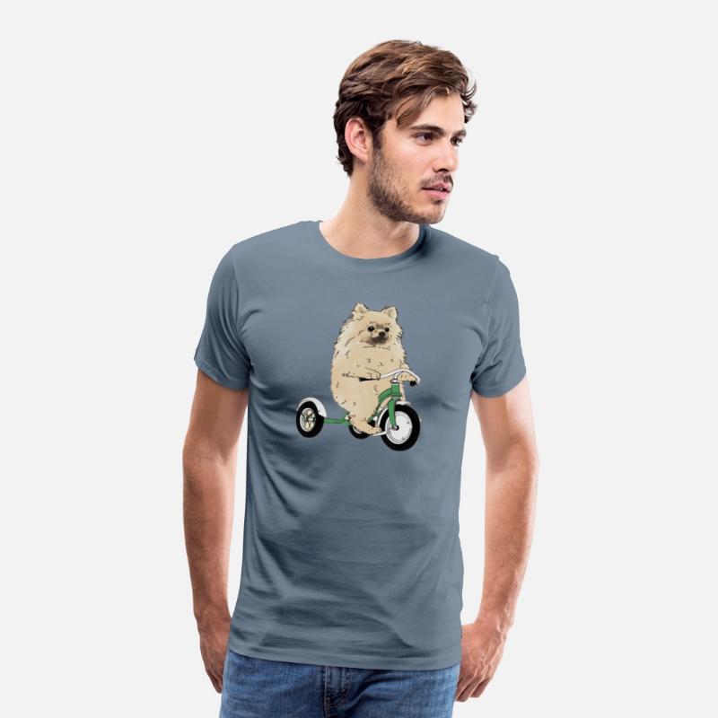Pomeranian Dog On A Tricycle Dog