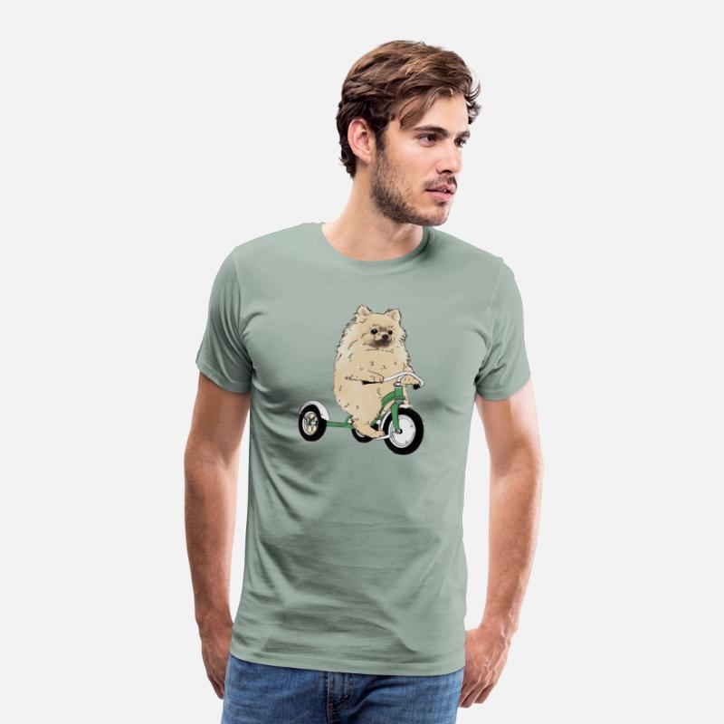 Pomeranian Dog On A Tricycle Dog