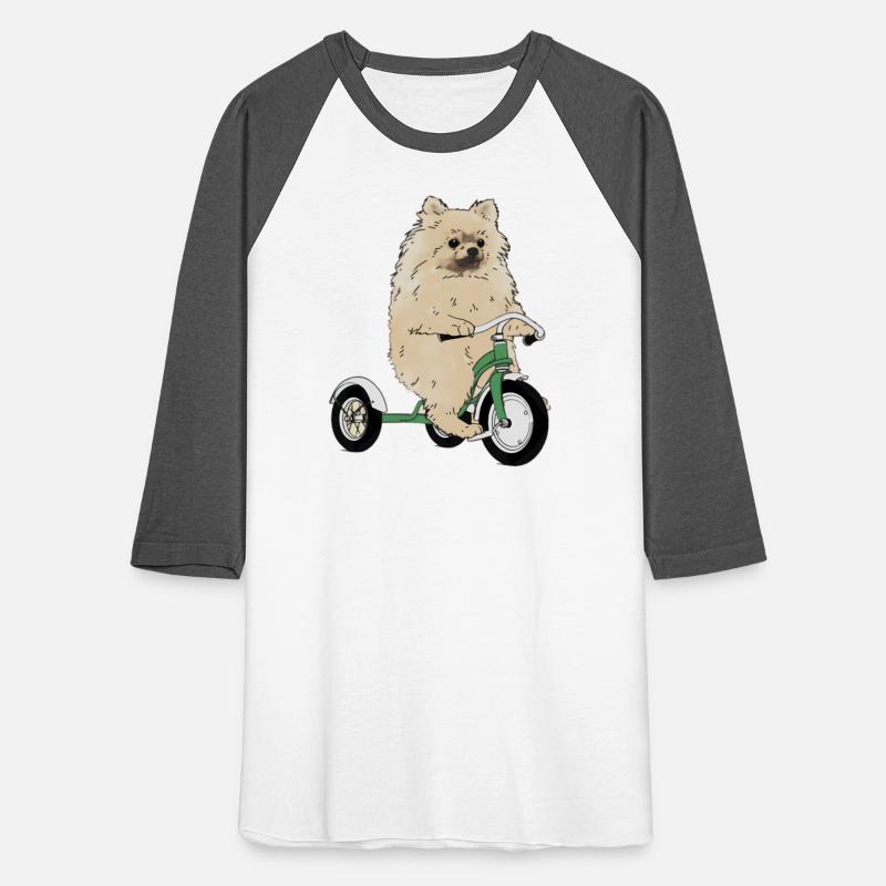 Pomeranian Dog On A Tricycle Dog