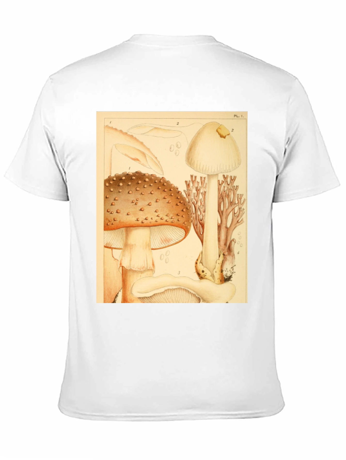 Mushroom Print T-Shirt - Nature Inspired Tee