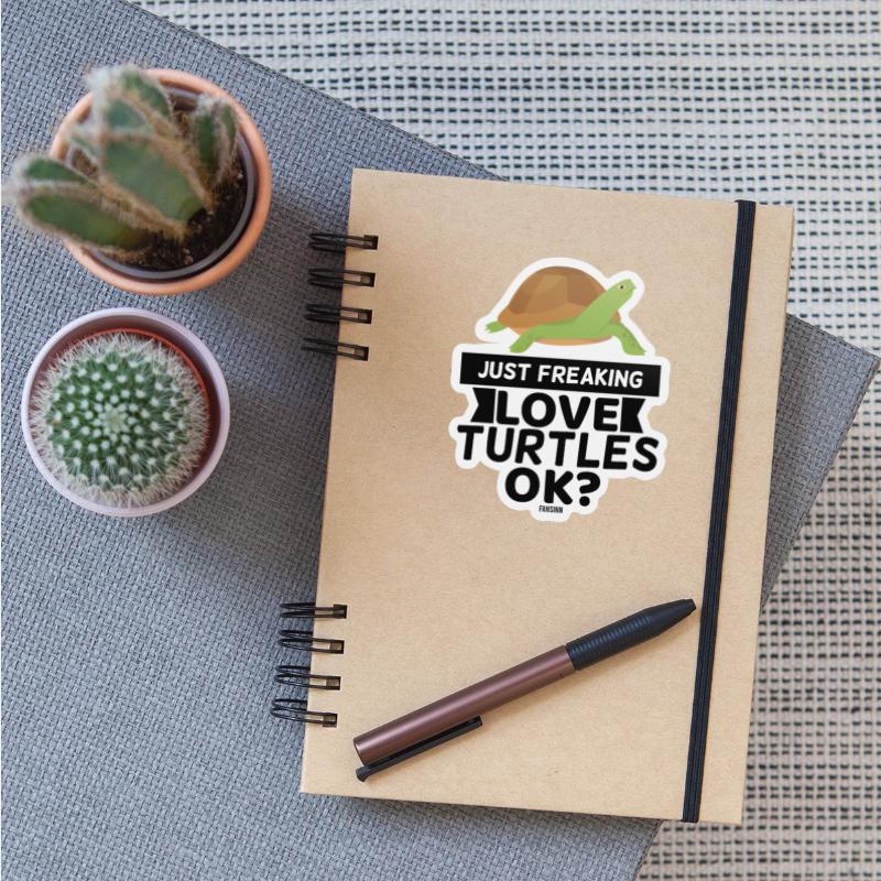 Sea turtle vet animal welfare
