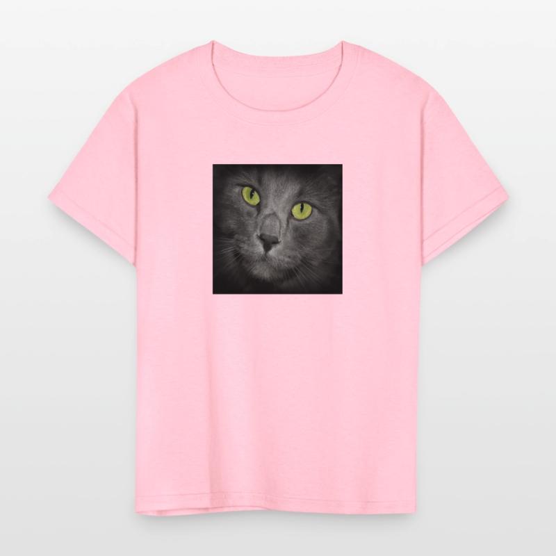 Square Gray Cat's Face Close Up Green Eyes Looking