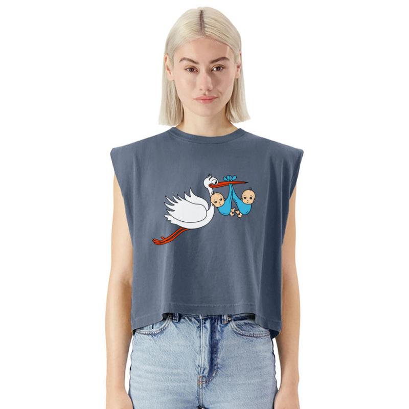 Stork Twins Baby Babies Boys Pregnancy Sons