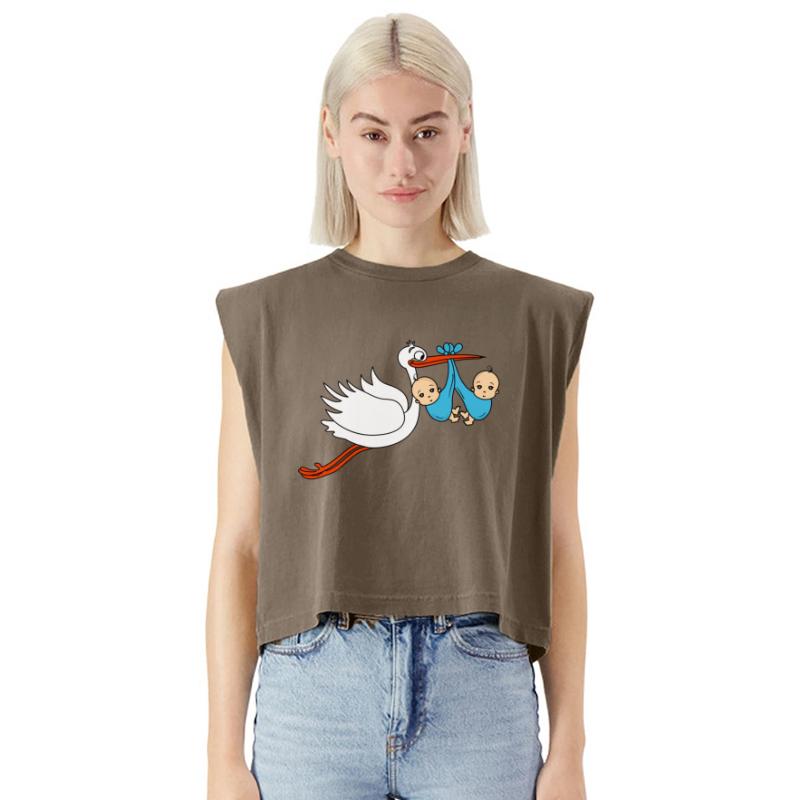 Stork Twins Baby Babies Boys Pregnancy Sons