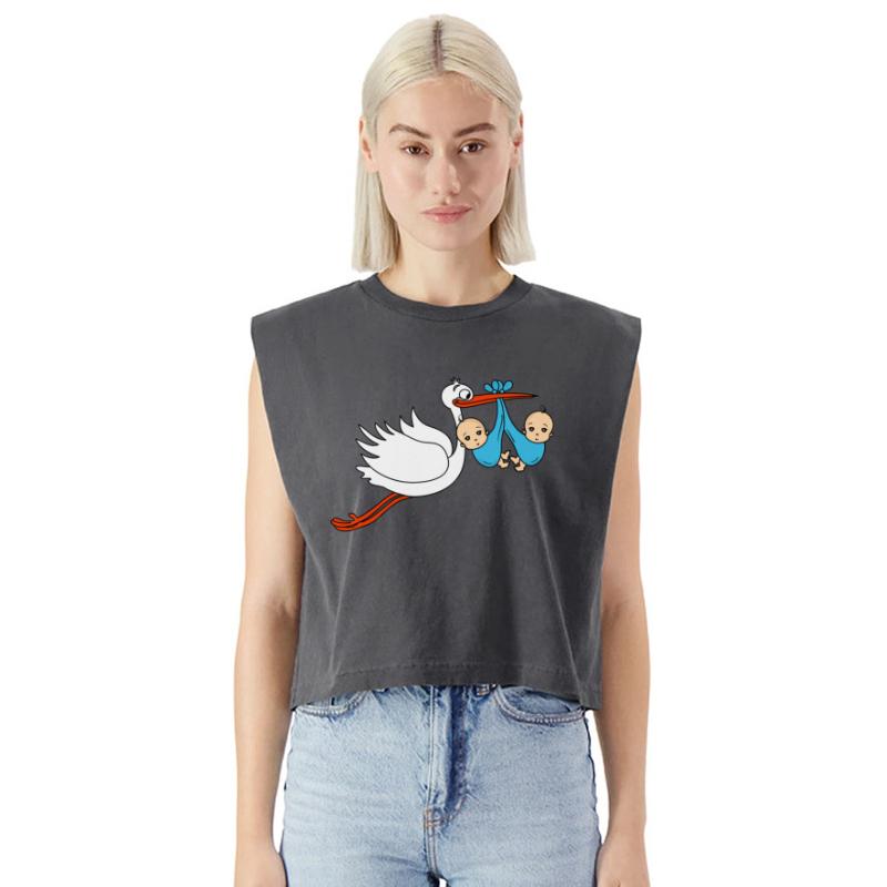 Stork Twins Baby Babies Boys Pregnancy Sons