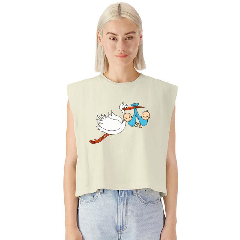 Stork Twins Baby Babies Boys Pregnancy Sons