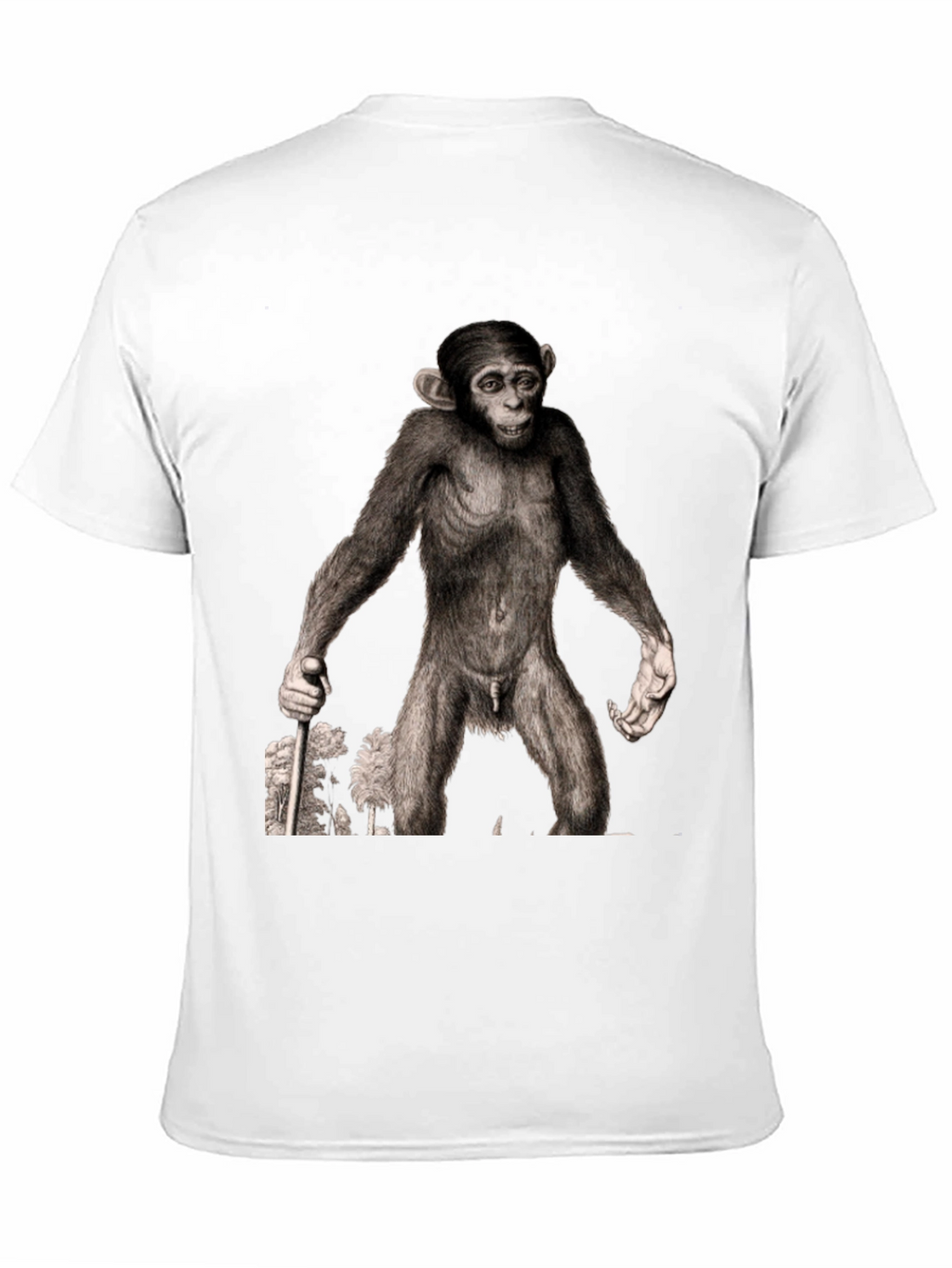Ape Illustration Graphic Tee - Black