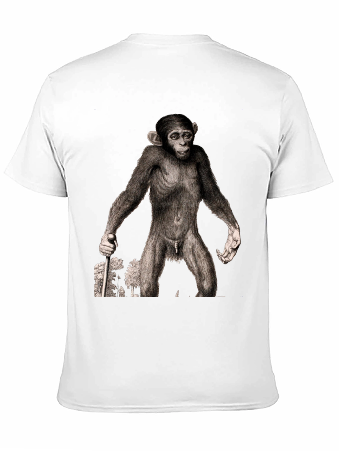 Ape Illustration Graphic Tee - Black