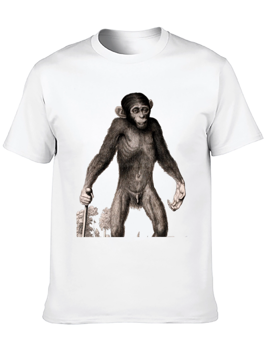 Ape Illustration Graphic Tee - Black