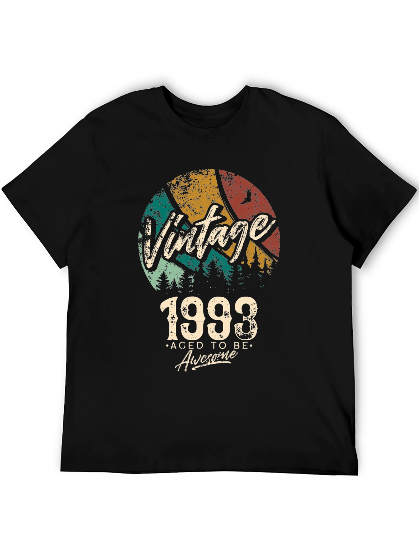 Vintage 1993 Aged to Be Awesome Black T-Shirt
