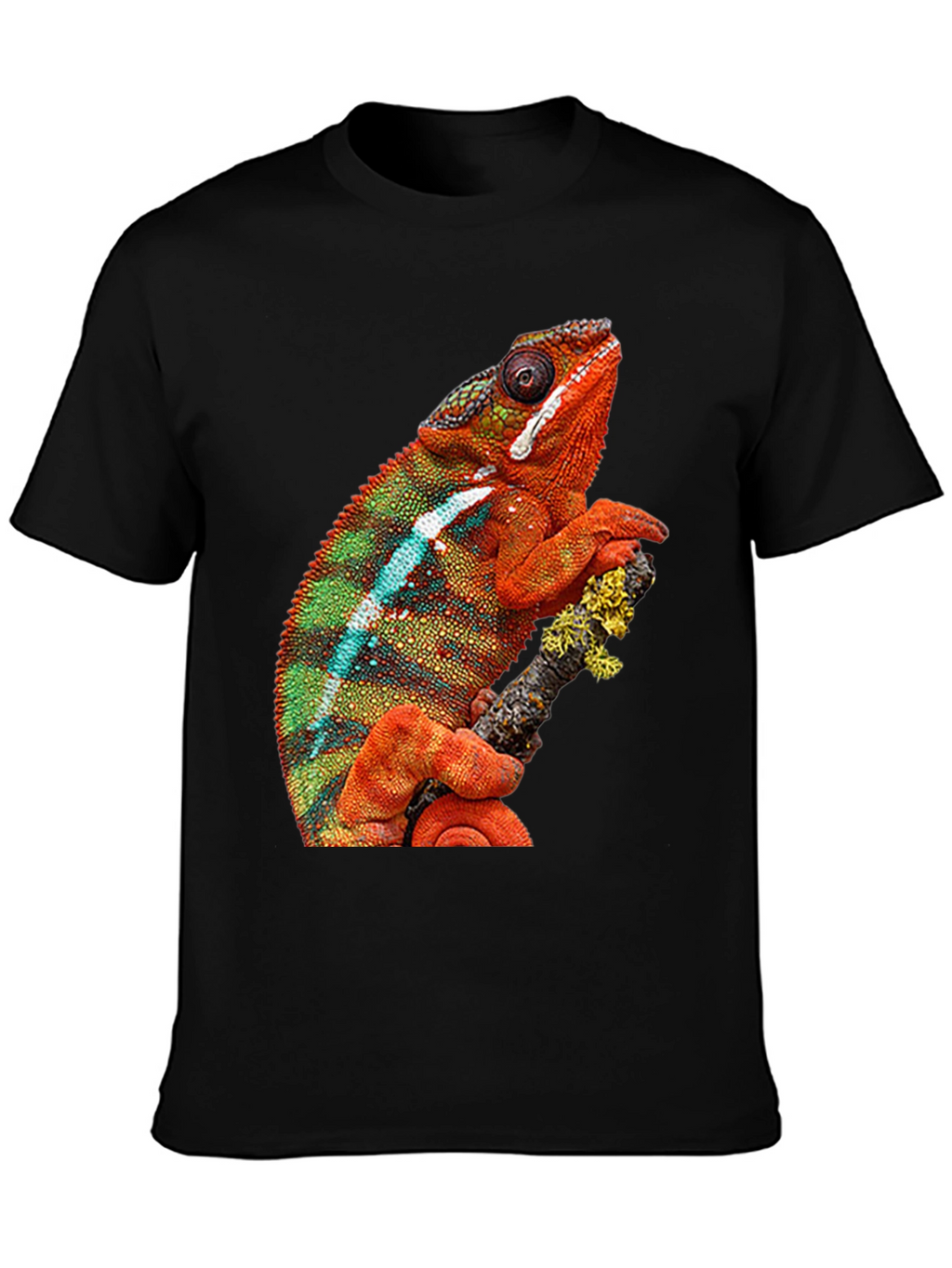 Chameleon Graphic Print Crew Neck T-Shirt