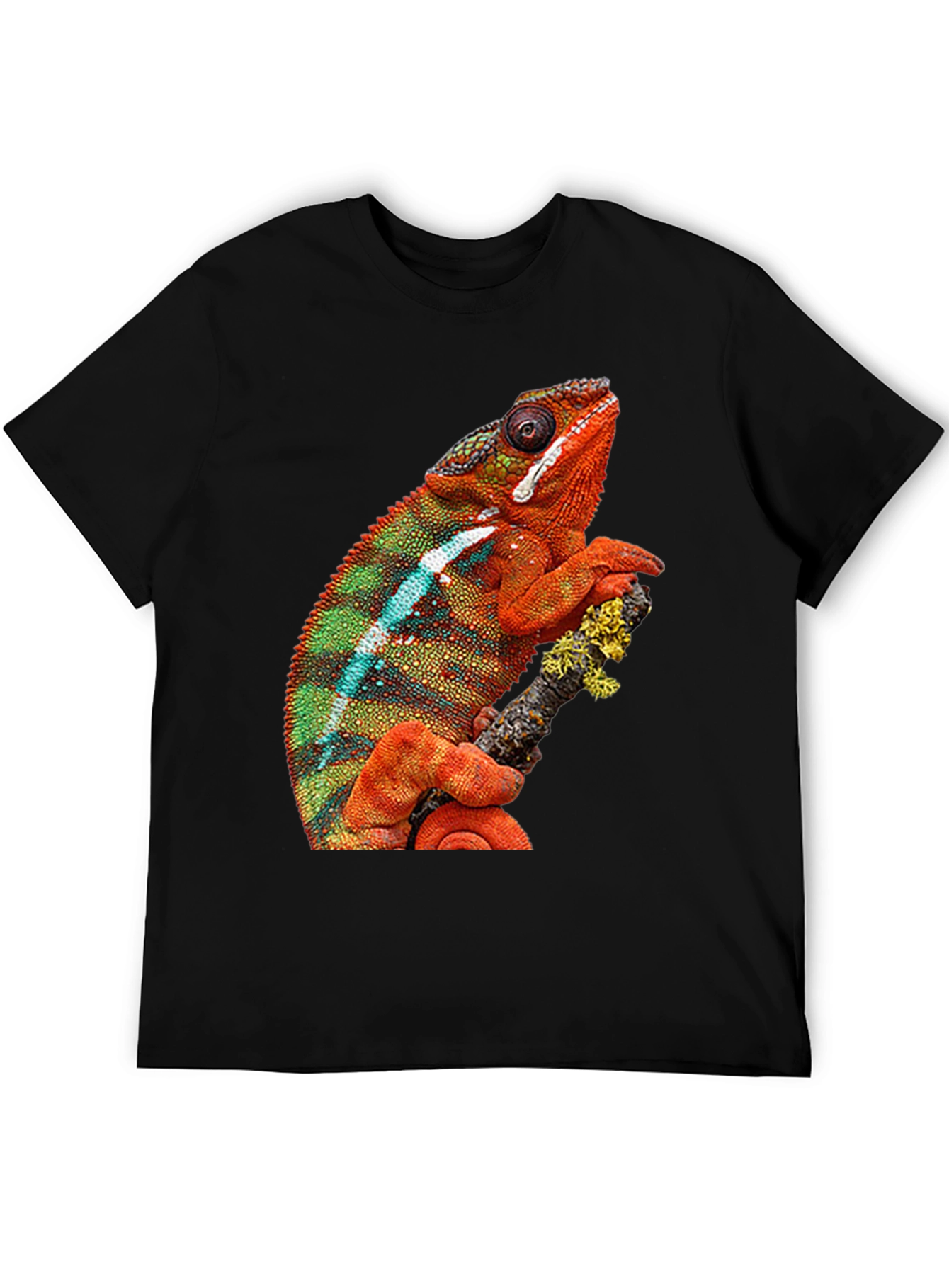 Chameleon Graphic Print Crew Neck T-Shirt