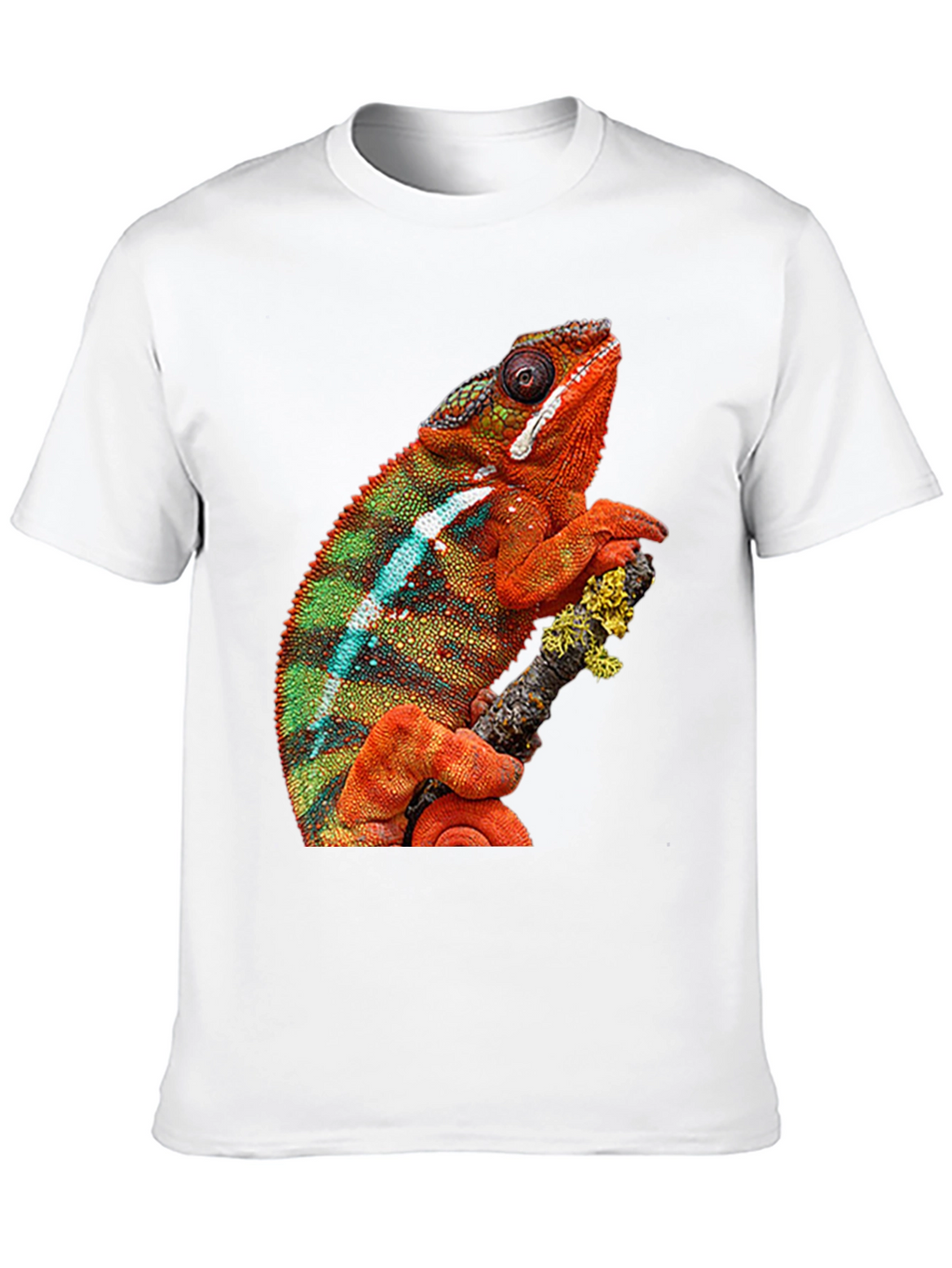 Chameleon Graphic Print Crew Neck T-Shirt