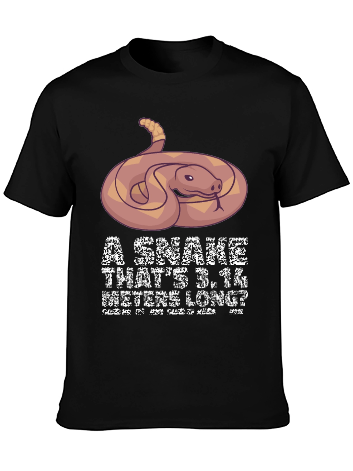 Funny Snake Pi Day Mens T-Shirt