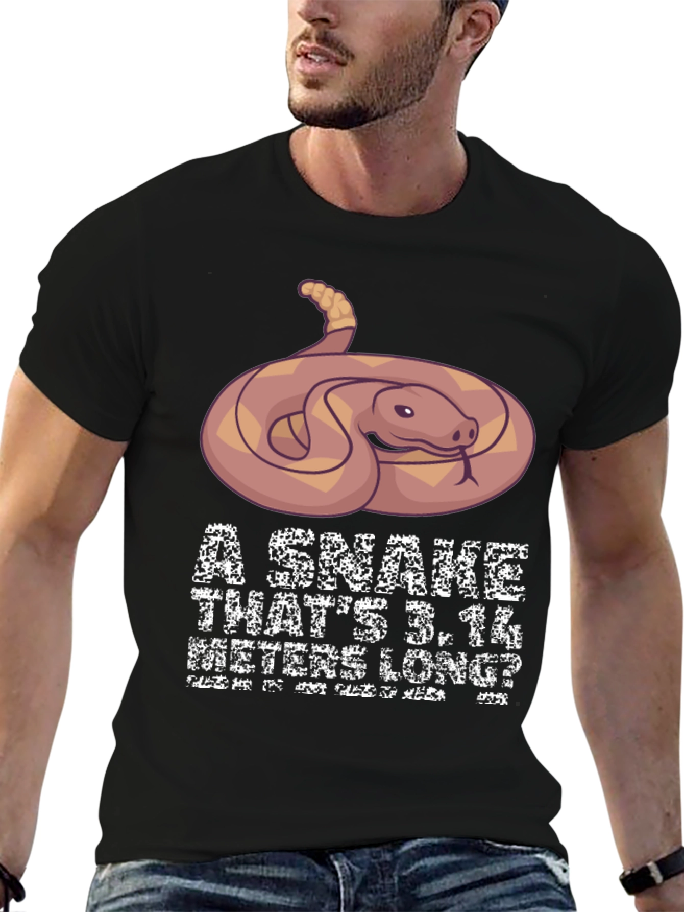 Funny Snake Pi Day Mens T-Shirt