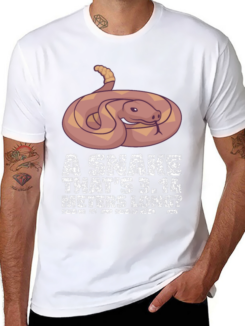 Funny Snake Pi Day Mens T-Shirt