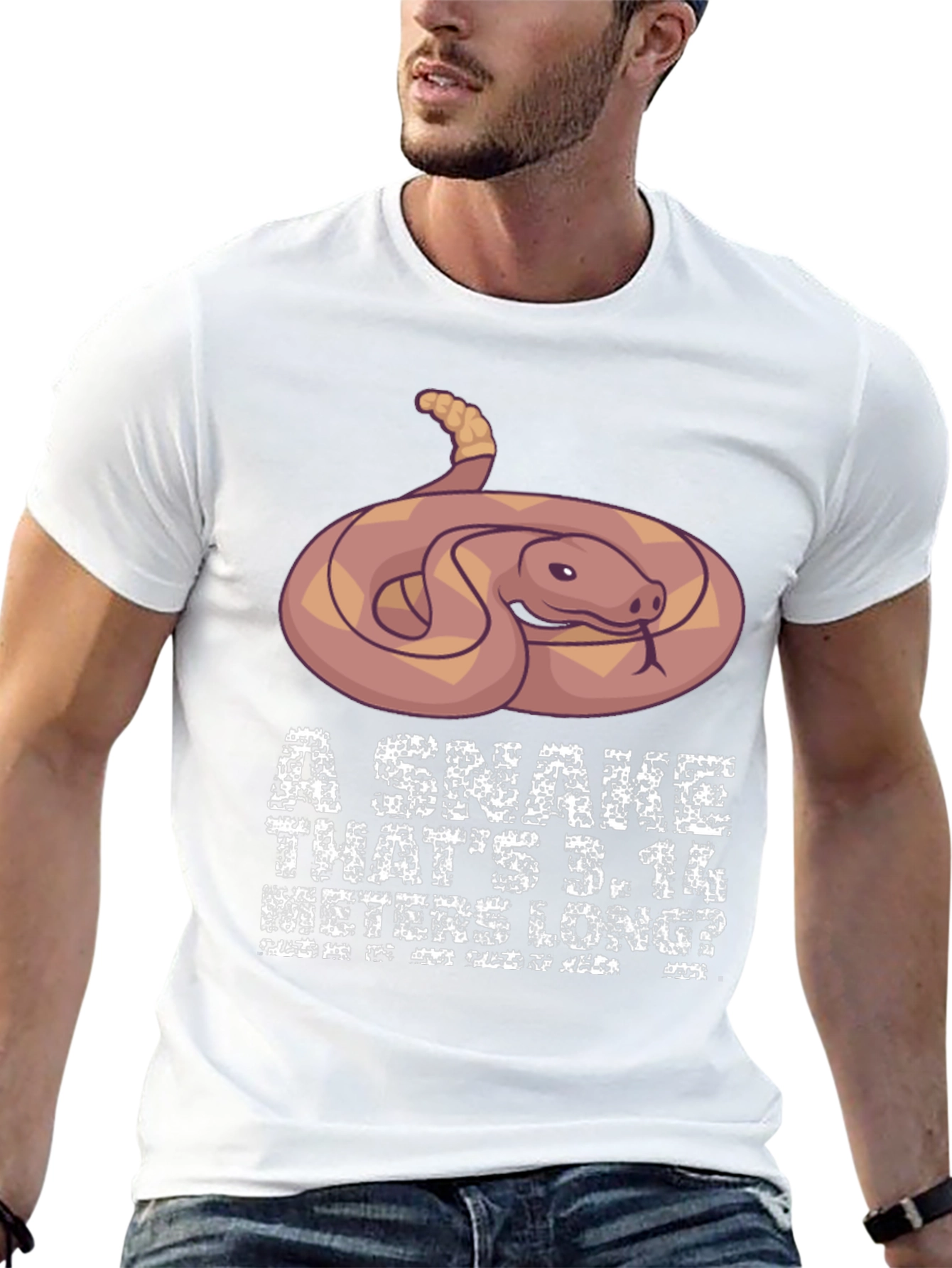 Funny Snake Pi Day Mens T-Shirt