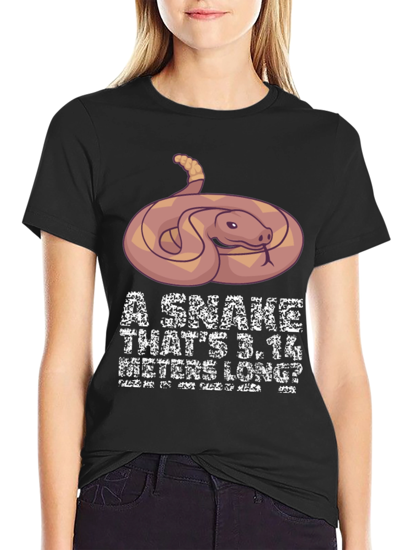 Funny Snake Pi Day Mens T-Shirt