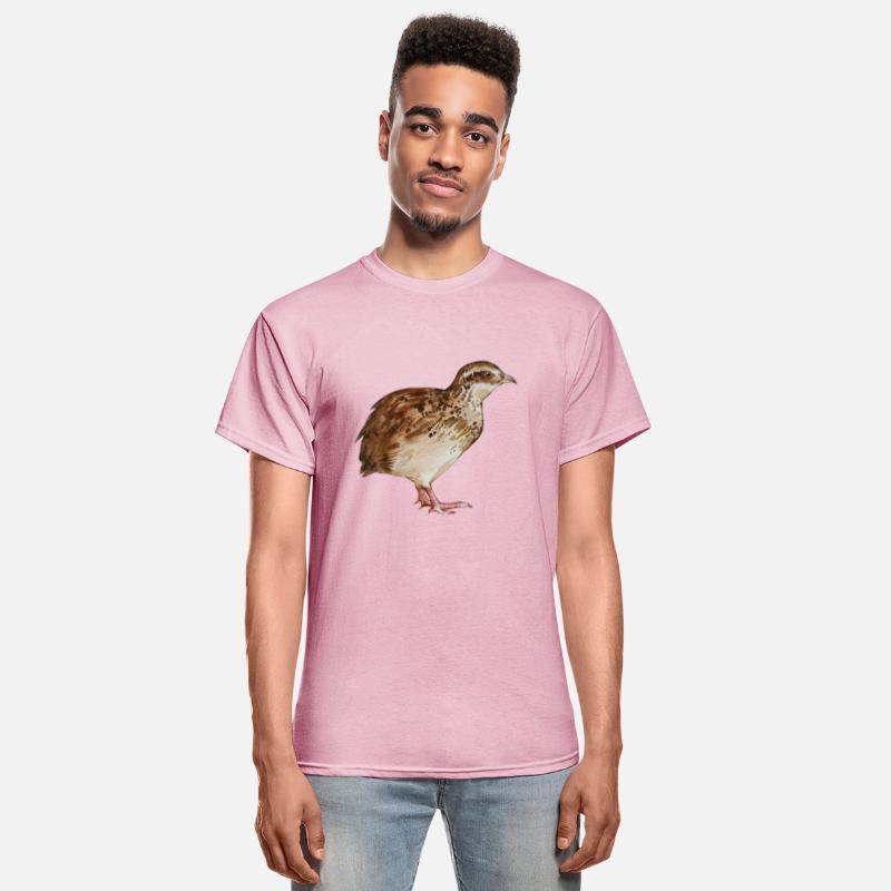 Watercolor illustration Farm Bird Quail