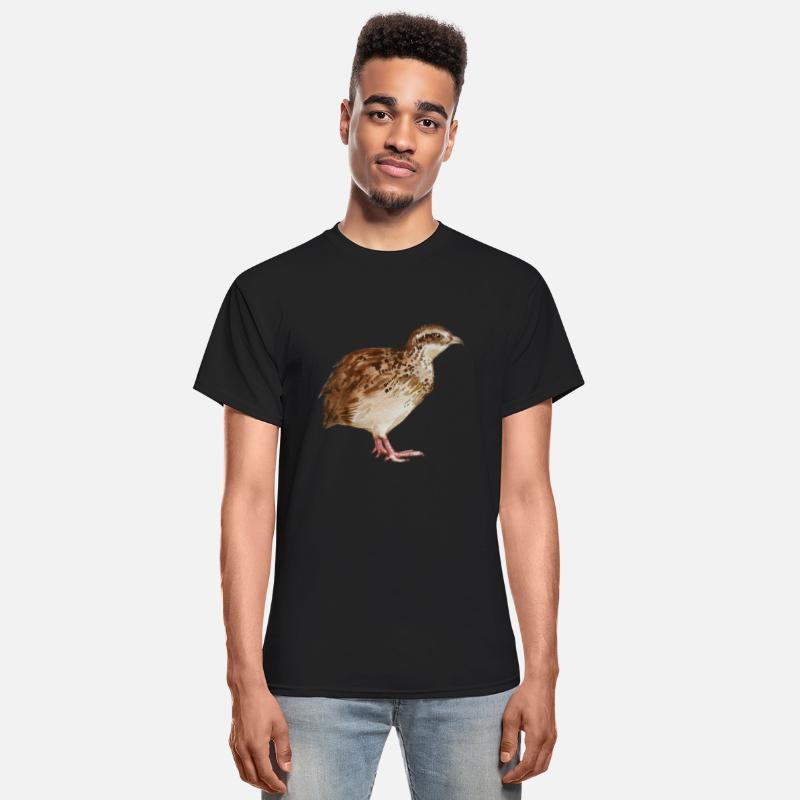 Watercolor illustration Farm Bird Quail