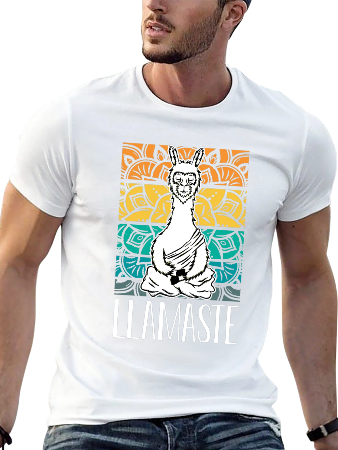 Llamaste Mens Black Graphic T-Shirt